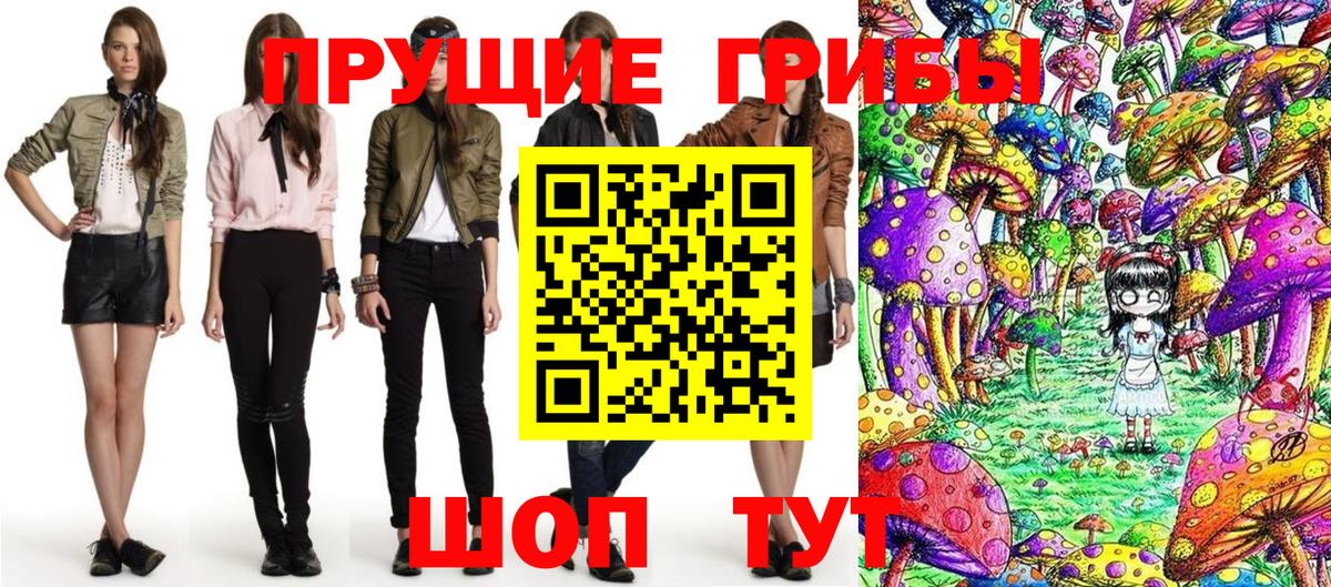 Псилоцибиновые грибы GOLDEN TEACHER Серов